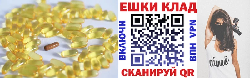 Купить закладки  Заозёрный  ЭКСТАЗИ 99% 