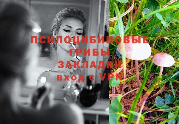 spice Козельск
